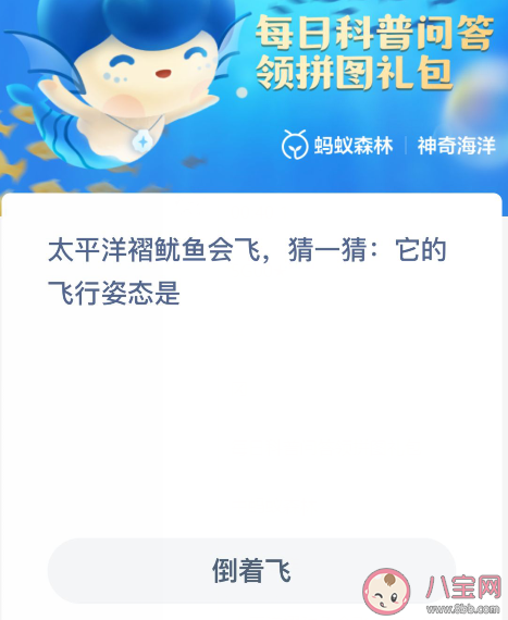 太平洋褶鱿鱼会飞它的飞行姿态是怎样的 蚂蚁森林神奇海洋12月16日答案 太平洋褶鱿鱼会飞它的飞行姿态是怎样的 蚂蚁森林神奇海洋12月16日答案