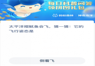 太平洋褶鱿鱼会飞它的飞行姿态是怎样的 蚂蚁森林神奇海洋12月16日答案