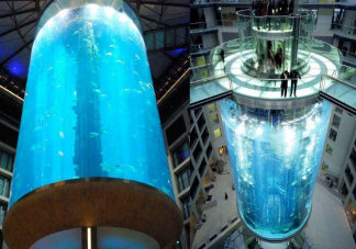 世界最大独立圆柱体水族馆爆裂是怎么回事 损失到底有多大
