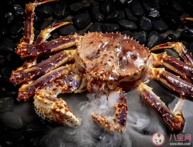 帝王蟹通常用几条腿行走 蚂蚁森林神奇海洋12月19日答案