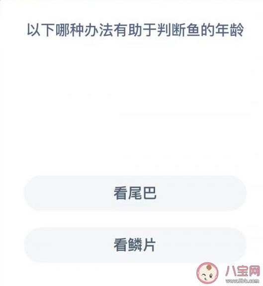 看鳞片看尾巴哪种办法有助于判断鱼的年龄 蚂蚁森林神奇海洋12月20日答案 看鳞片看尾巴哪种办法有助于判断鱼的年龄 蚂蚁森林神奇海洋12月20日答案