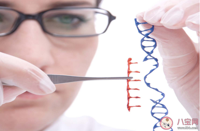 研究抗体高更容易失去嗅觉或味觉是怎么回事 感染新冠嗅觉味觉消失多久恢复 研究抗体高更容易失去嗅觉或味觉是怎么回事 感染新冠嗅觉味觉消失多久恢复