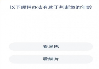 看鳞片看尾巴哪种办法有助于判断鱼的年龄 蚂蚁森林神奇海洋12月20日答案