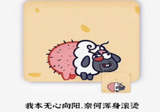 阳了的朋友圈心情说说 阳了的经验分享朋友圈