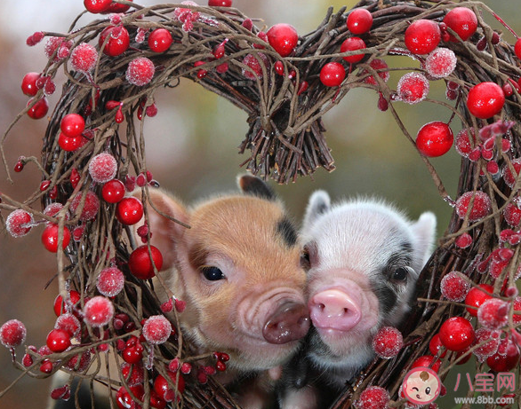 为什么朋友圈秀恩爱的少了 你会在朋友圈秀恩爱吗 为什么朋友圈秀恩爱的少了 你会在朋友圈秀恩爱吗