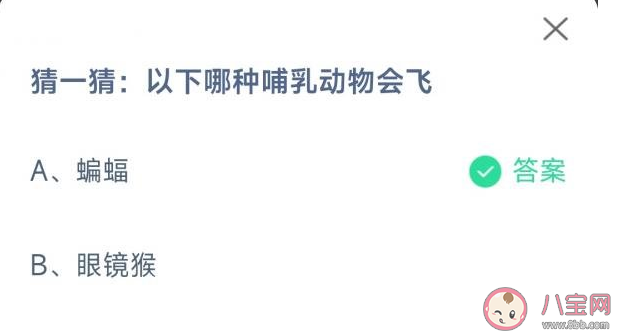 蝙蝠眼镜猴哪种哺乳动物会飞 蚂蚁庄园12月27日问题答案