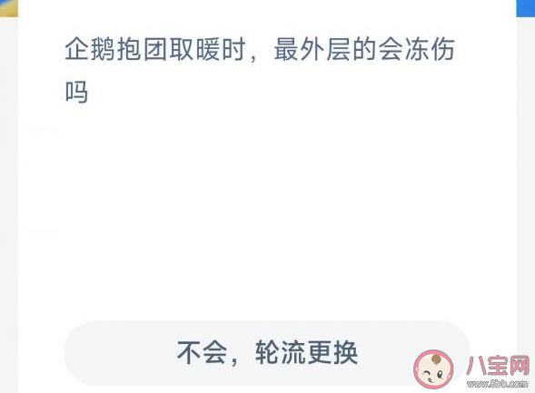 企鹅抱团取暖时最外层的会冻伤吗 神奇海洋12月26日答案