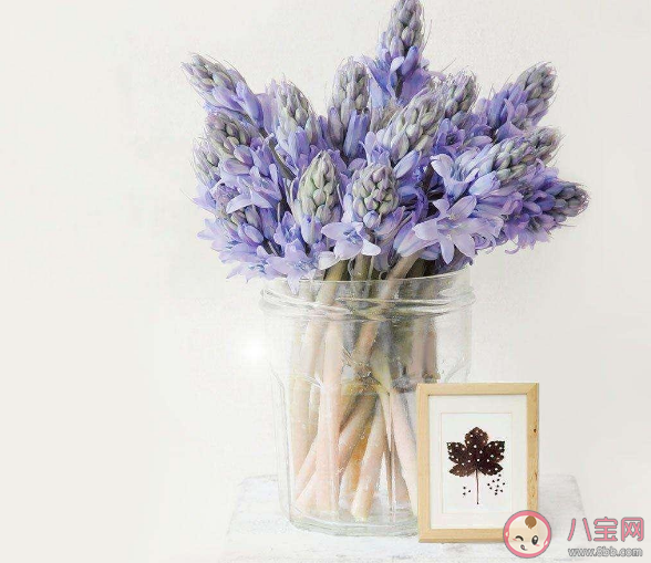 人为什么喜欢怀念过去 总是怀念过去怎么走出来 人为什么喜欢怀念过去 总是怀念过去怎么走出来