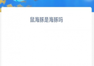 鼠海豚是海豚吗 神奇海洋12月27日答案