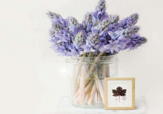 人为什么喜欢怀念过去 ​总是怀念过去怎么走出来