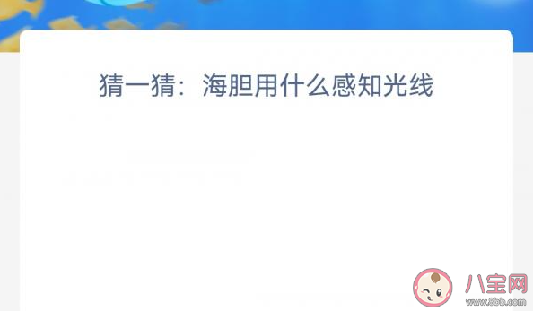 猜一猜海胆用什么感知光线 神奇海洋12月28日答案