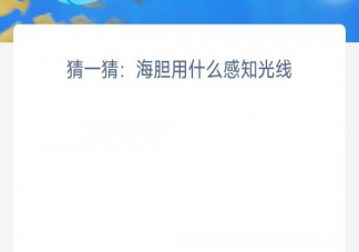 猜一猜海胆用什么感知光线 神奇海洋12月28日答案