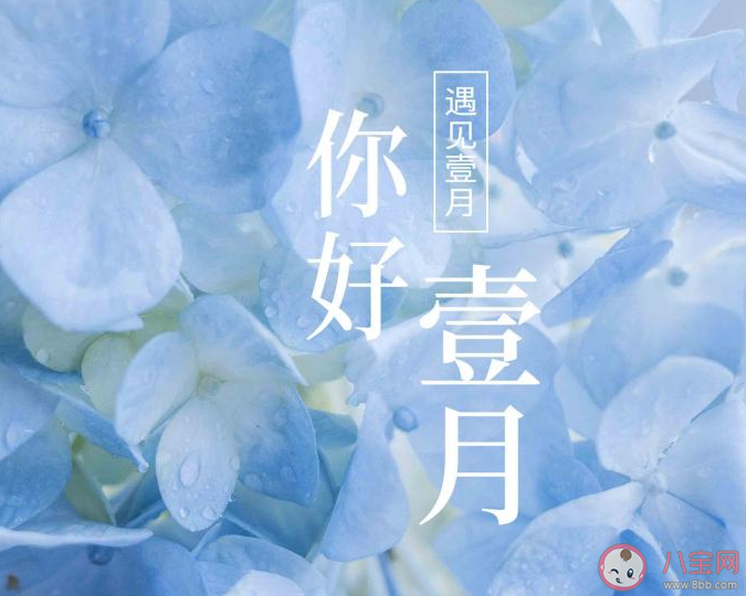 2023适合一月发的朋友圈文案说说 2023一月到了的朋友圈说说句子 2023适合一月发的朋友圈文案说说 2023一月到了的朋友圈说说句子