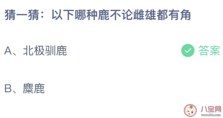 猜一猜以下哪种鹿不论雌雄都有角 蚂蚁庄园12月31答案