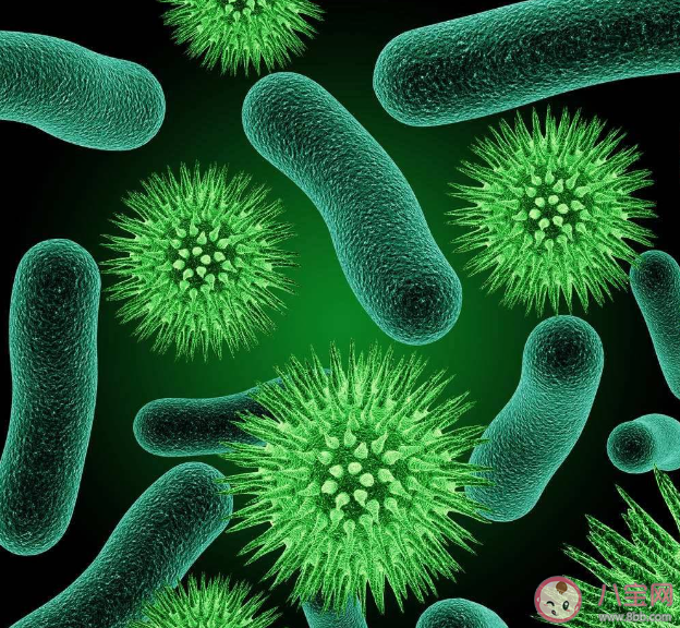 家里哪些地方最容易藏匿霉菌 霉菌对身体有什么危害 家里哪些地方最容易藏匿霉菌 霉菌对身体有什么危害