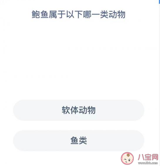 鲍鱼属于软体动物还是鱼类 蚂蚁森林神奇海洋1月5日答案