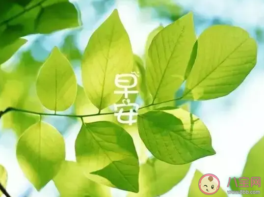 2023早安心语正能量文案说说 2023早安语录说说朋友圈 2023早安心语正能量文案说说 2023早安语录说说朋友圈