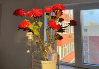 2023最打动人心的晚安说说 2023经典而温馨的晚安心语