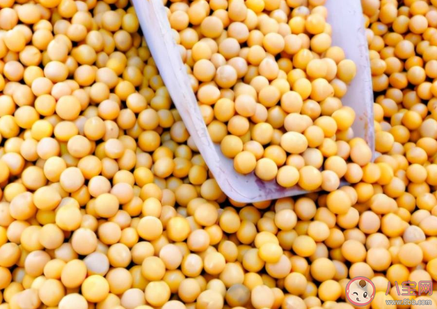 冬天常吃红豆的4个好处 冬天哪些豆类要多吃 冬天常吃红豆的4个好处 冬天哪些豆类要多吃