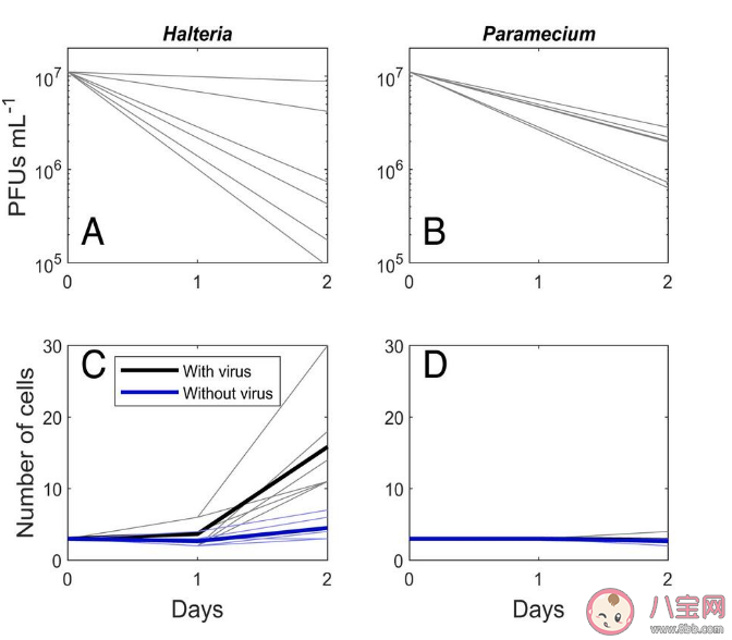 科学家首次发现专吃病毒生物是真的吗 这次发现有什么意义