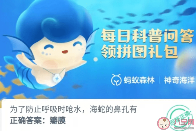 海蛇的鼻孔有什么防止呼吸呛水 神奇海洋1月10日答案最新