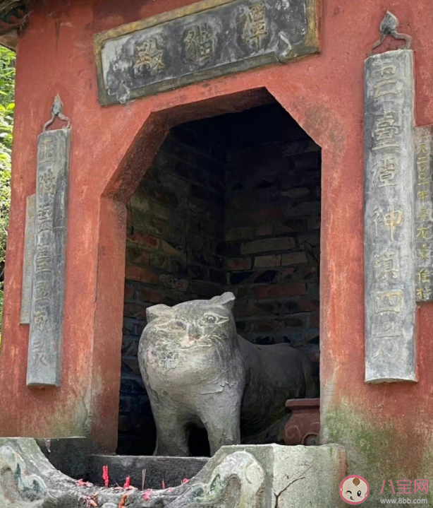 《中国奇谭》小猫庙原型是哪里 小猫庙是什么时候存在的