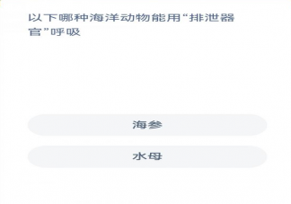 蚂蚁森林以下哪种海洋动物能用排泄器官呼吸 神奇海洋1月11日正确答案