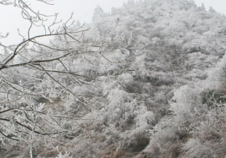 今年首场寒潮最强雨雪下在哪 2023首个寒潮影响有多大