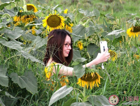 自在生活的8个建议 如何获得真正得自在 自在生活的8个建议 如何获得真正得自在