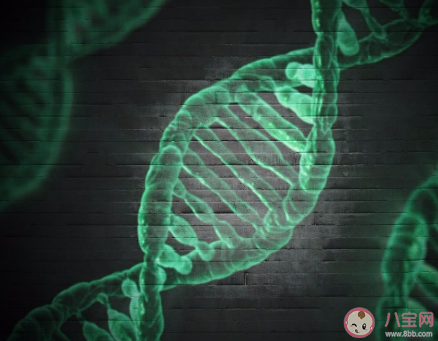 为何年长父亲会遗传给后代更多突变 遗传基因和环境哪个更重要