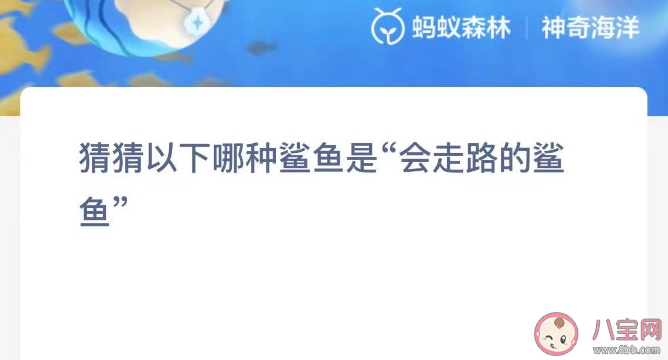 猜猜以下哪种鲨鱼是会走路的鲨鱼 神奇海洋1月14日答案