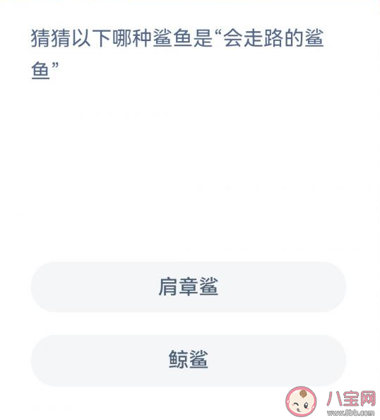 哪种鲨鱼是会走路的鲨鱼 蚂蚁森林神奇海洋1月14日答案