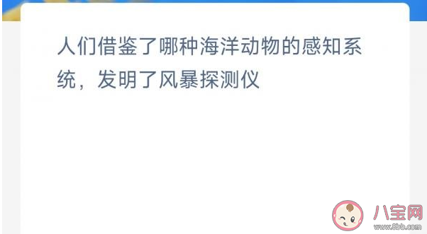 人们借鉴了哪种海洋动物的感知系统发明了风暴探测仪 神奇海洋1月24日答案