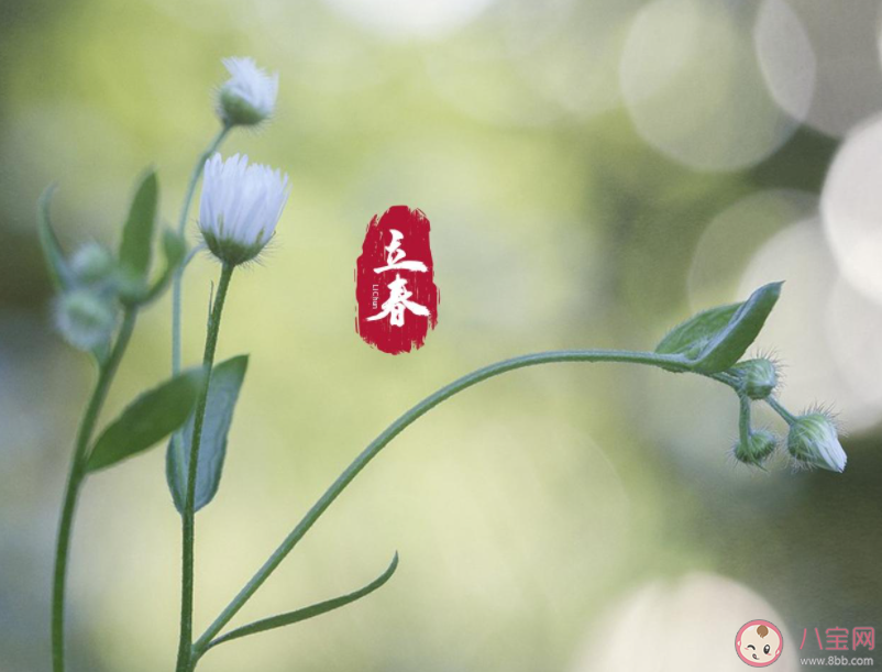 2023立春了的朋友圈心情句子 2023立春发朋友圈感受句子