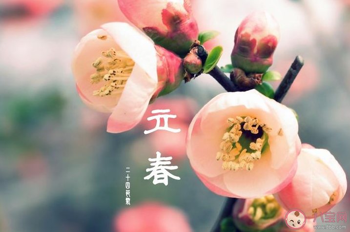 2023立春了的朋友圈心情句子 2023立春发朋友圈感受句子