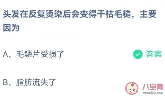 蚂蚁庄园头发在反复烫染后会变得干枯毛糙主要因为 小课堂2月3日答案