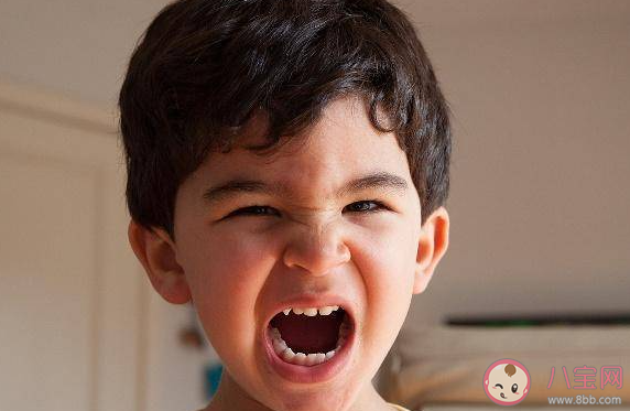 越不让做的事孩子越要做是什么原因 孩子对着干该怎么办