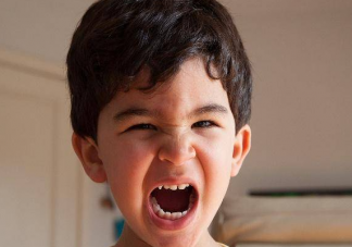 越不让做的事孩子越要做是什么原因 孩子对着干该怎么办