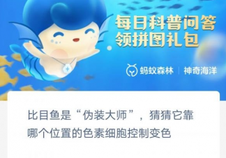 比目鱼靠哪个位置的色素细胞控制变色 神奇海洋2月7日答案