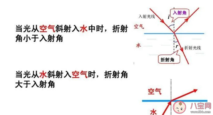 蚂蚁森林海市蜃楼通常发生在什么地方 神奇海洋2月8日答案