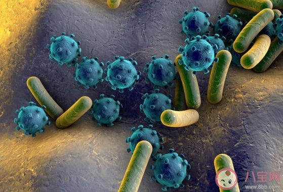 气候变化将致超级细菌增加是真的吗 超级细菌增加会怎样