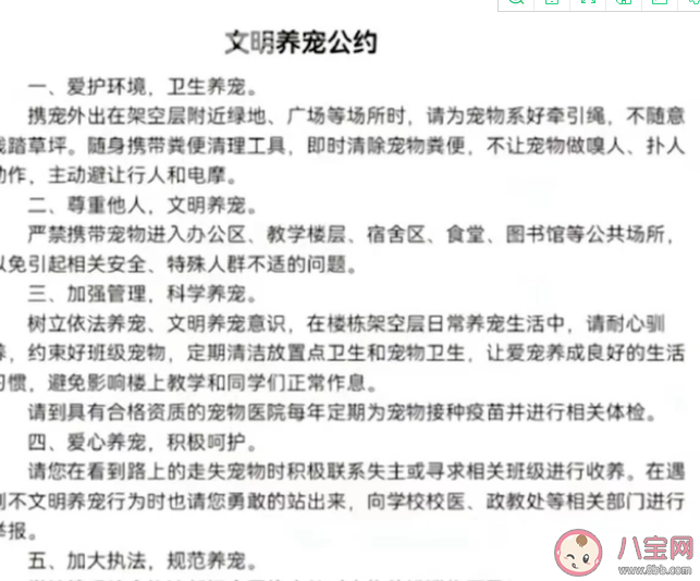 南宁二中可带宠物上学是真的吗 带宠物上学好吗