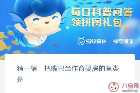 把嘴巴当作育婴房的鱼类是什么 神奇海洋2月13日答案