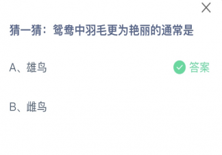 猜一猜鸳鸯中羽毛更为艳丽的通常是 蚂蚁庄园2月16日答案最新