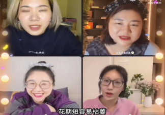 玫瑰刺又多花期又短还容易枯萎 玫瑰为什么能代表爱情
