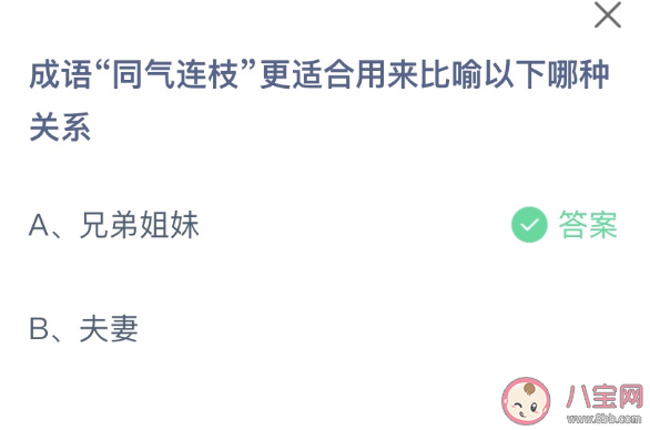 同气连枝更适合用来比喻以下哪种关系 蚂蚁庄园2月21日答案最新