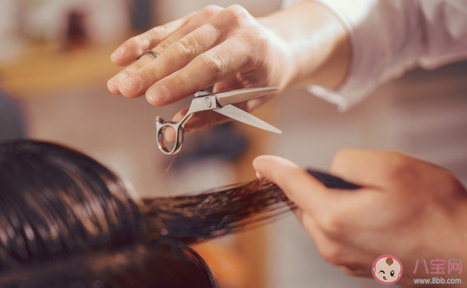 二月初二剪头发的朋友圈说说短句 龙抬头剪头发的朋友圈句子 二月初二剪头发的朋友圈说说短句 龙抬头剪头发的朋友圈句子