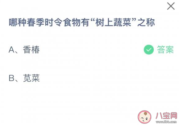 蚂蚁庄园哪种春季时令食物有树上蔬菜之称 2月22日答案解析