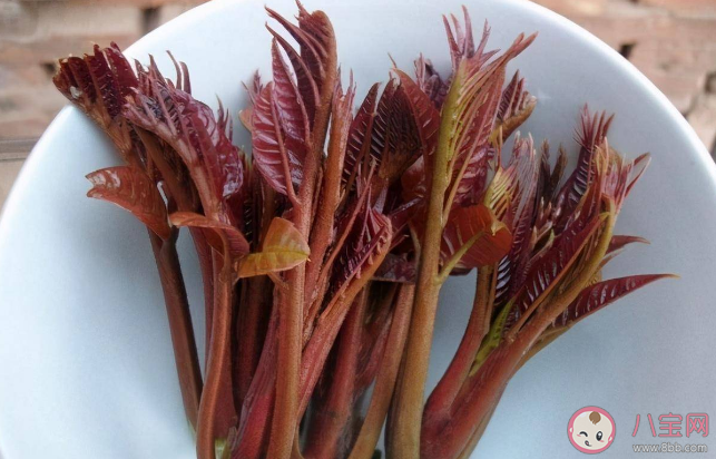 蚂蚁庄园哪种春季时令食物有树上蔬菜之称 2月22日答案解析