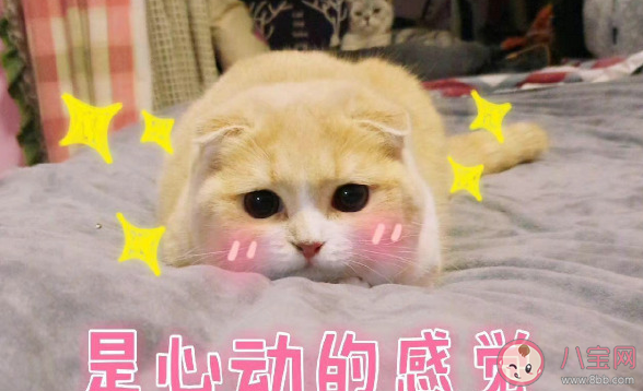 要不要和不喜欢但合适的人结婚 如何正确看待恋爱和结婚区别